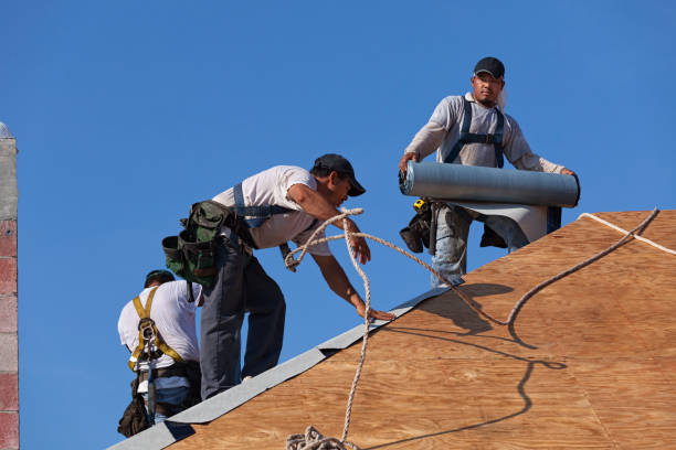 Best Metal Roofing Contractor  in Wewahitchka, FL