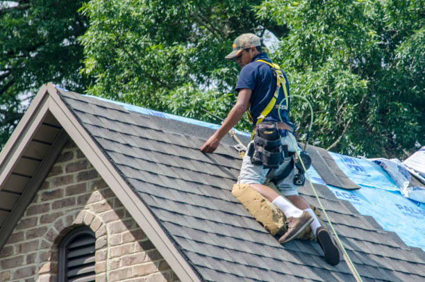 Best Commercial Roofing Services  in Wewahitchka, FL
